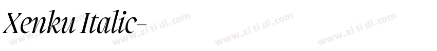 Xenku Italic字体转换